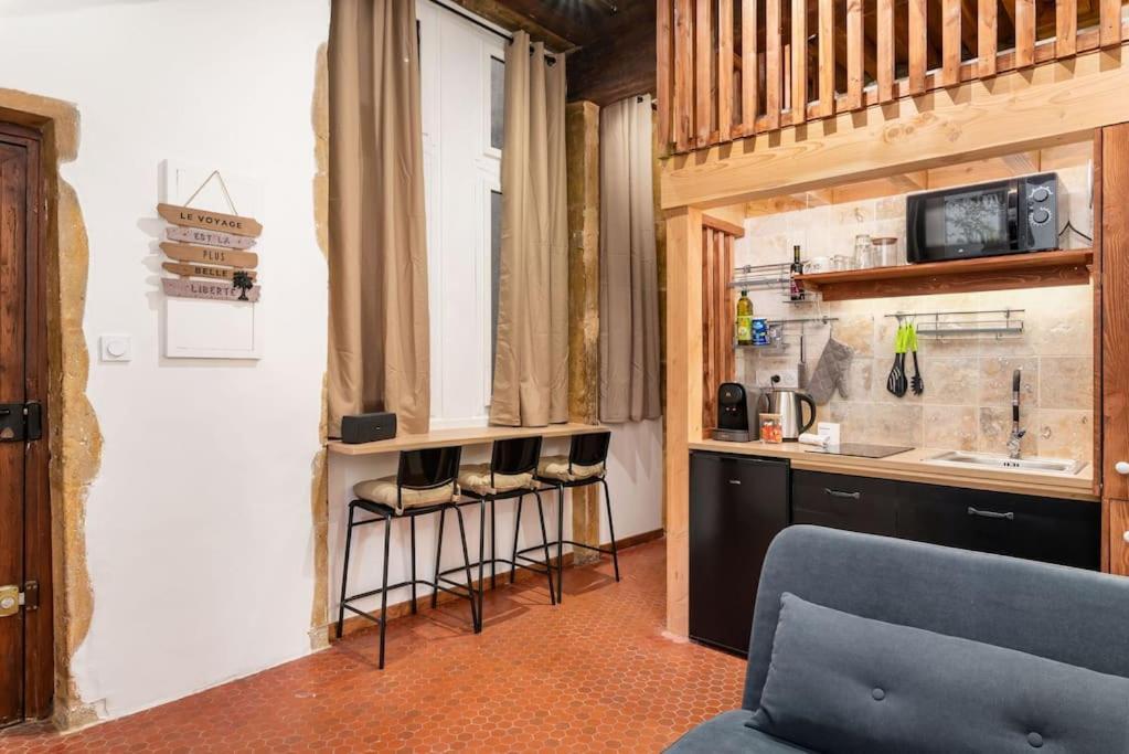 Le Cocon De Saint-Jean Apartment Lyon Exterior foto