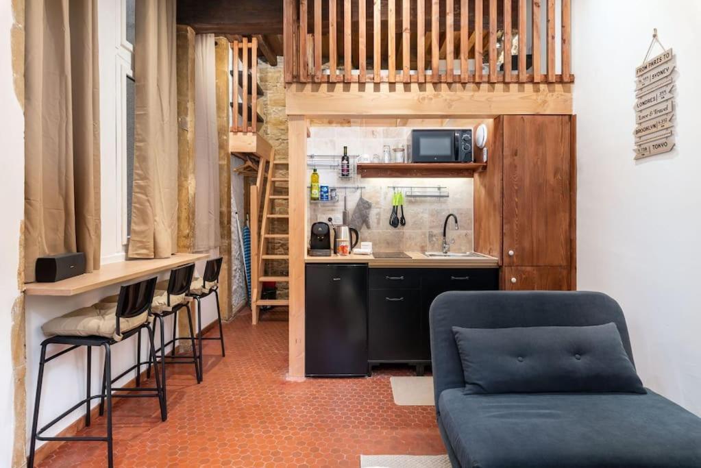 Le Cocon De Saint-Jean Apartment Lyon Exterior foto